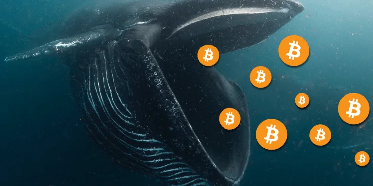 btc balina bitcoin
