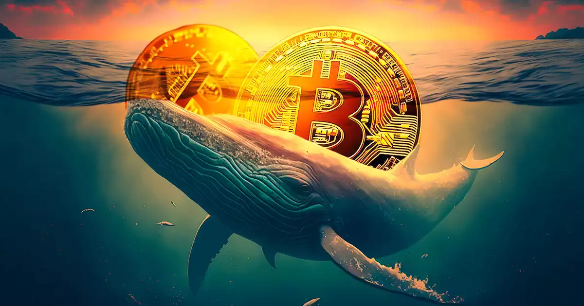 bitcoin balina