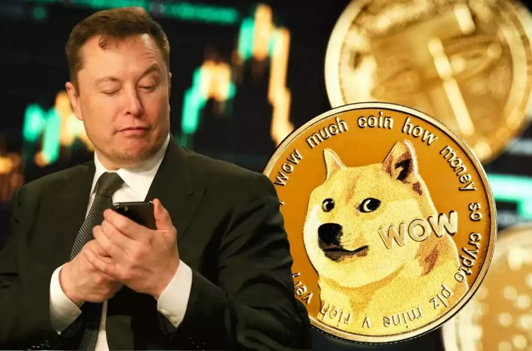 elon musk doge dava