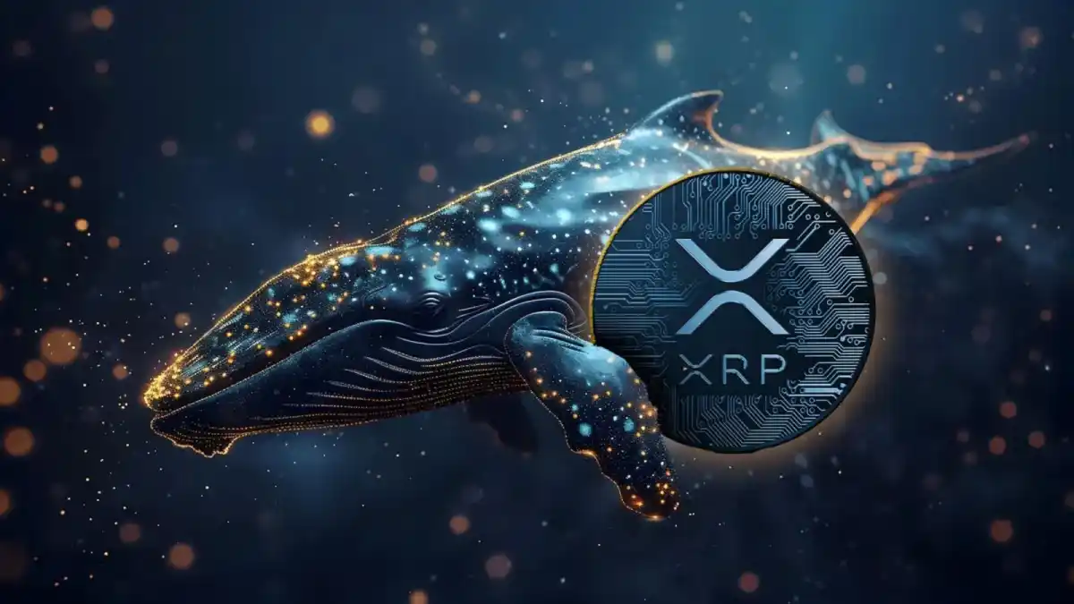 xrp ripple balinalar topluyor